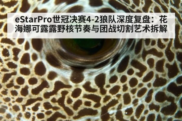 eStarPro世冠决赛4-2狼队深度复盘：花海娜可露露野核节奏与团战切割艺术拆解